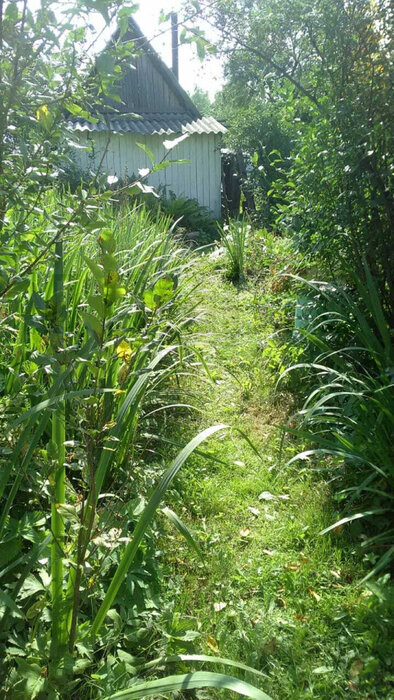 Екатеринбург, к/с Дружба, уч. 20 (Шабровский) - фото сада (8)