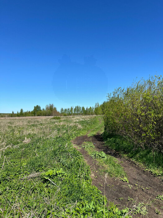 пгт. Верхнее Дуброво, городской округ Верхнее Дуброво, Тюменское направление, 35, ул.Крылова,  (Выберите район) - фото земельного участка (6)