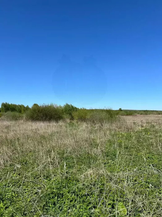 пгт. Верхнее Дуброво, ул. 56.764834, 61.018926 (городской округ Верхнее Дуброво) - фото земельного участка (7)