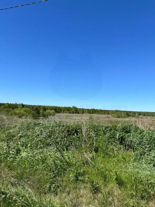 пгт. Верхнее Дуброво, ул. 56.764834, 61.018926 (городской округ Верхнее Дуброво) - фото земельного участка (9)
