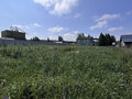 Продажа земельного участка: д. Гусева, ул. Зелёная, 3 (городской округ Белоярский) - Фото 1