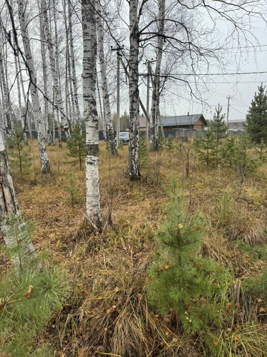 Екатеринбург, ул. пос. Широкая Речка, строительный номер, 48 - фото земельного участка (2)