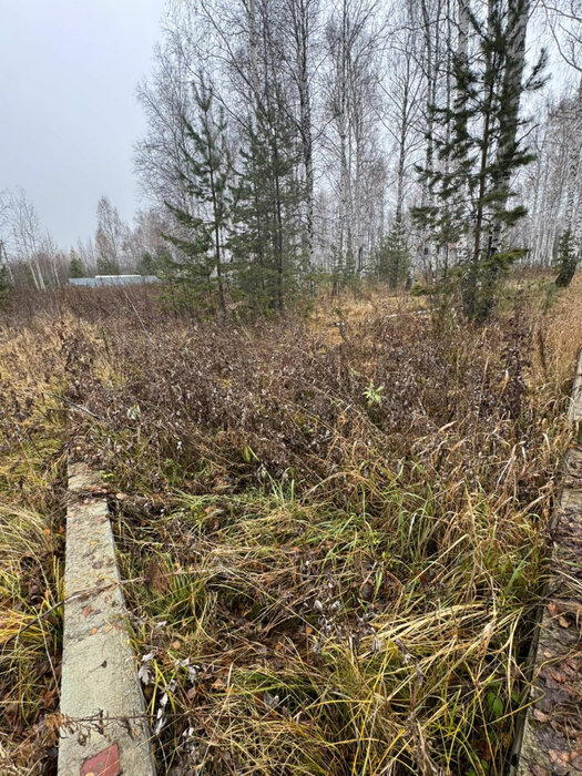 Екатеринбург, ул. пос. Широкая Речка, строительный номер, 48 - фото земельного участка (4)