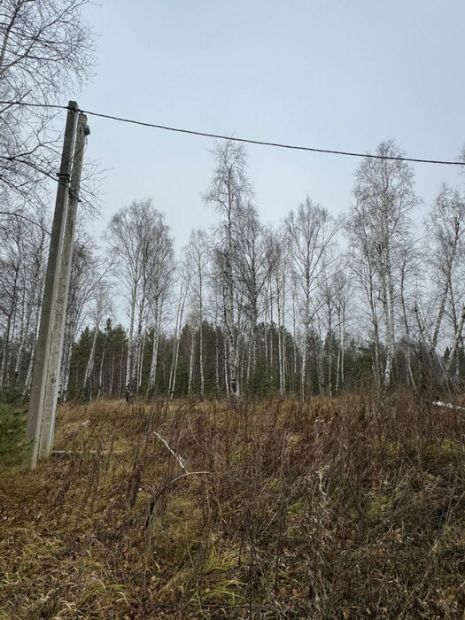 Екатеринбург, ул. пос. Широкая Речка, строительный номер, 48 - фото земельного участка (5)
