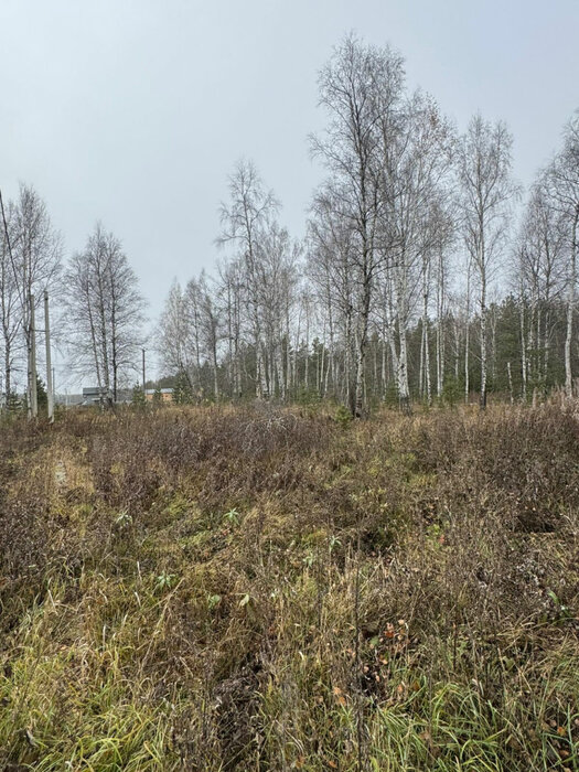 Екатеринбург, ул. пос. Широкая Речка, строительный номер, 48 - фото земельного участка (8)