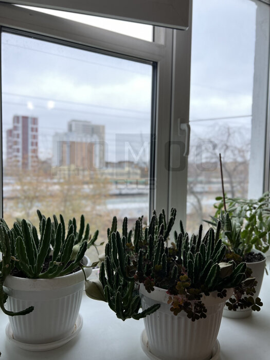 Екатеринбург, ул. Вишневая, 32 (Втузгородок) - фото квартиры (4)