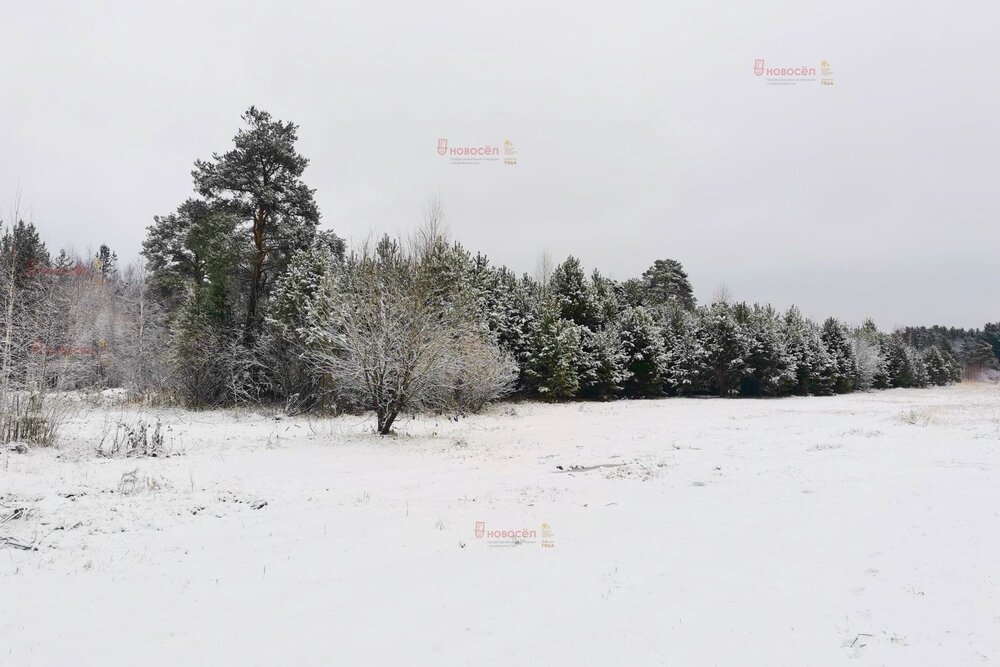 Екатеринбург, ул. Кордон Шиловский,   (Горный щит) - фото земельного участка (5)