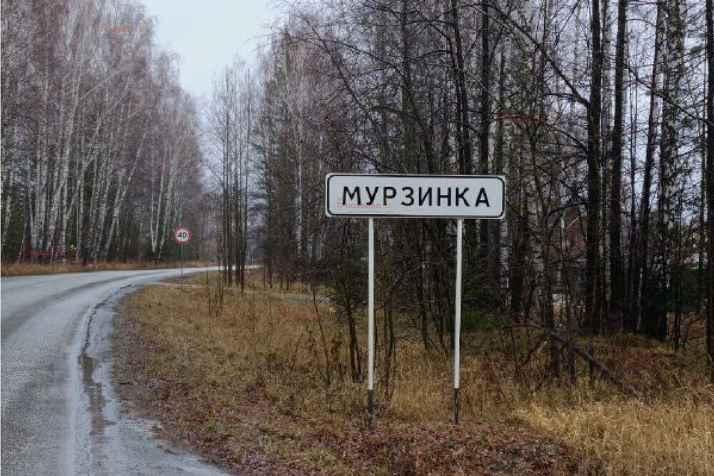 п. Мурзинка (г.о. Новоуральский), ул. Южная, 5 (городской округ Новоуральский) - фото коттеджа (6)