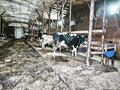 Продажа земельного участка коммерческого назначения: с. Абрамово, ул. Солнечный  (городской округ Сысертский) - Фото 6