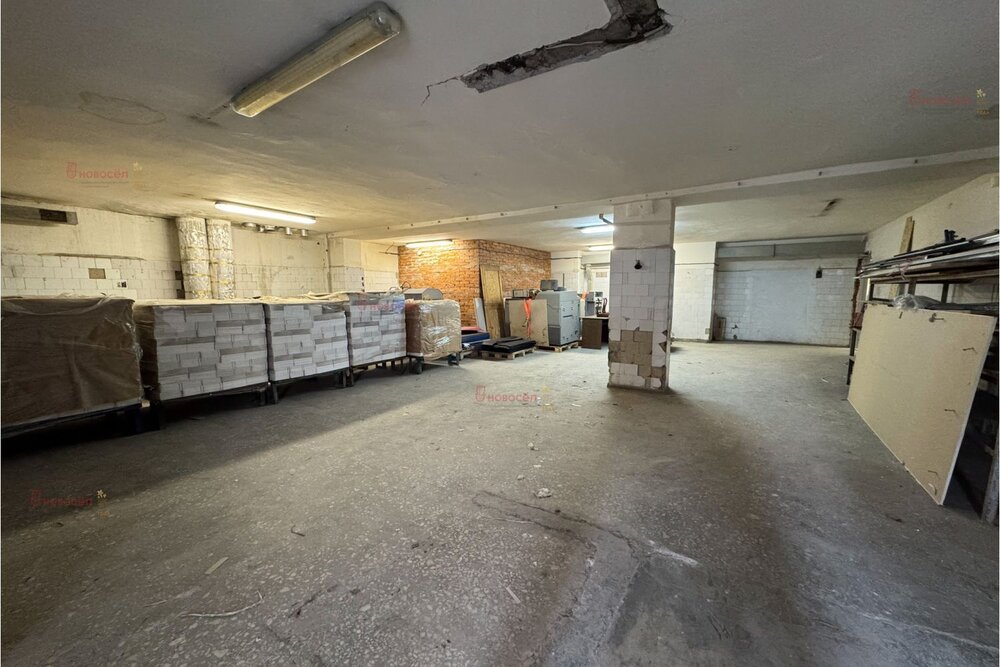 Екатеринбург, ул. Ленина, 49 (Центр) - фото торговой площади (5)