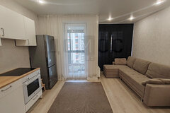 Екатеринбург, ул. Золотистый, 7 (Солнечный) - фото квартиры