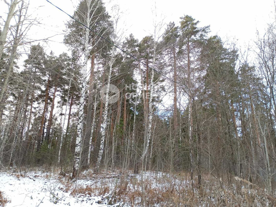 Екатеринбург, ул. Жиловка,   (Медный) - фото земельного участка (2)