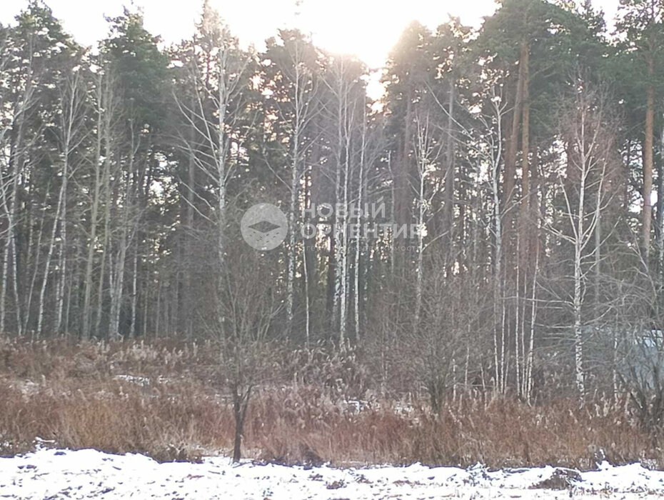 Екатеринбург, ул. Жиловка,   (Медный) - фото земельного участка (3)