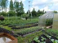 Продажа садового участка: Екатеринбург, СНТ Приисковый-Керамик, ул. СНТ Приисковый-Керамик - Фото 10