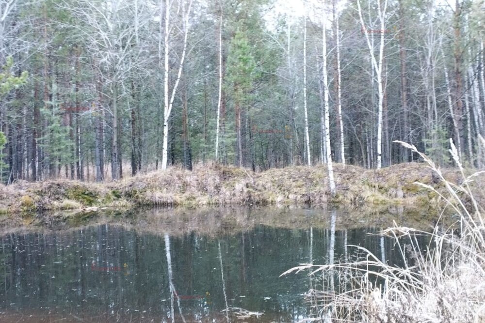 Екатеринбург, СНТ Приисковый-Керамик - фото сада (3)