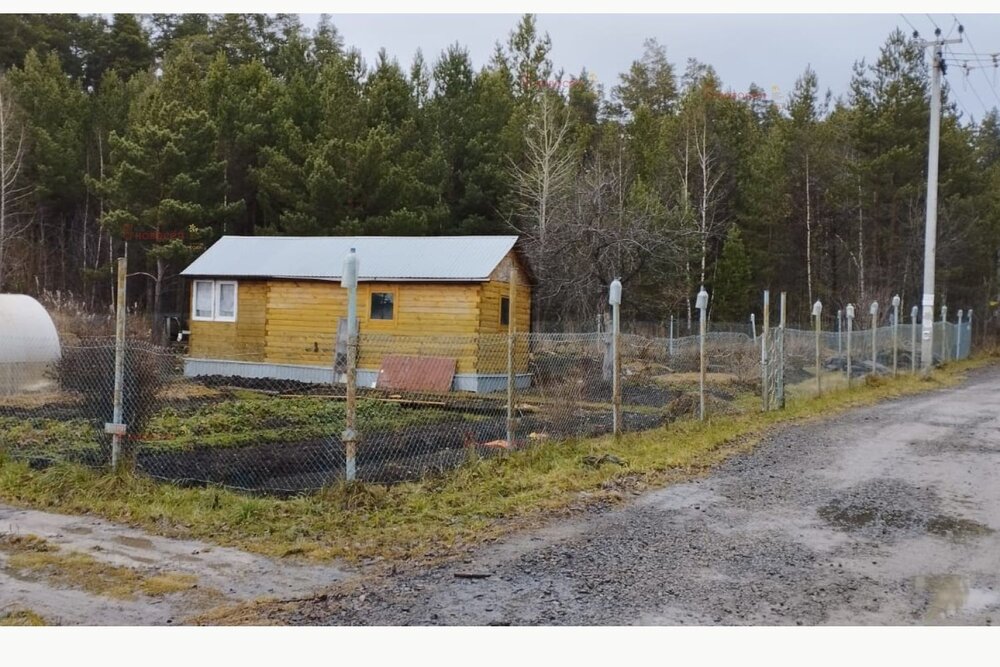 Екатеринбург, СНТ Приисковый-Керамик - фото сада (3)