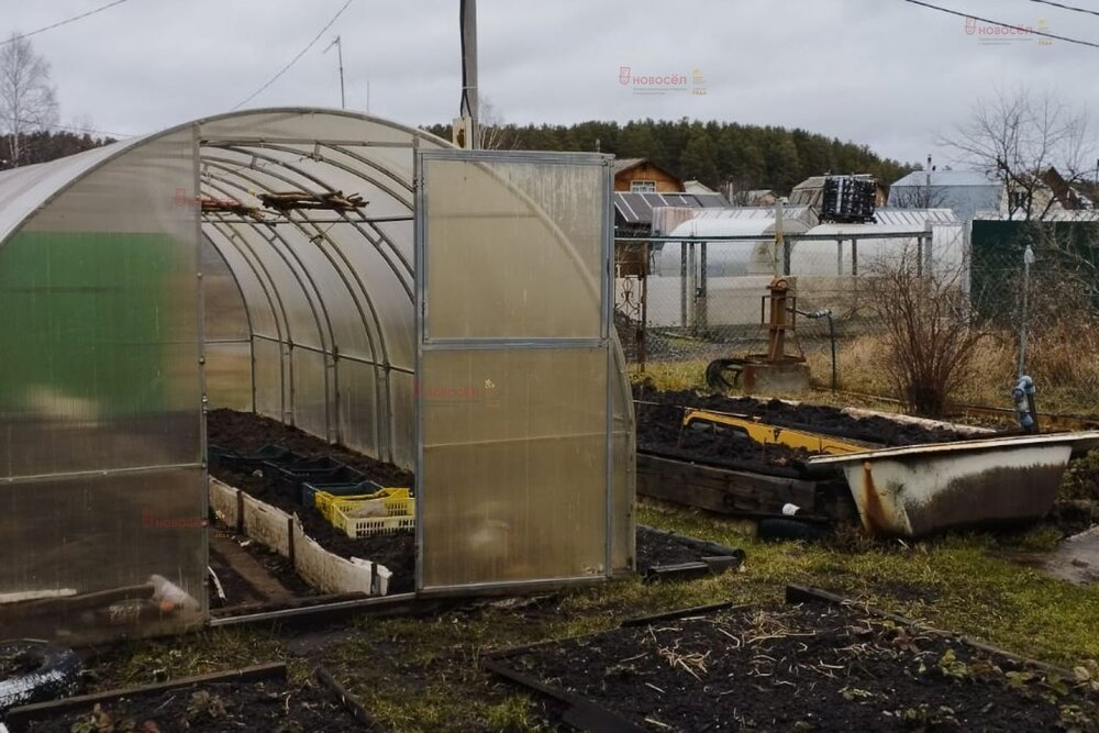 Екатеринбург, СНТ Приисковый-Керамик - фото сада (6)