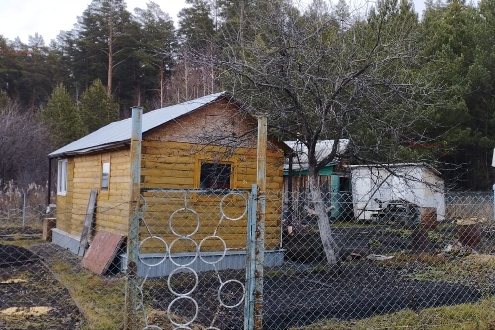 Екатеринбург, СНТ Приисковый-Керамик - фото сада (7)