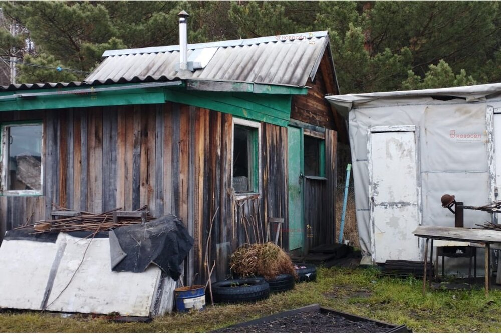 Екатеринбург, СНТ Приисковый-Керамик - фото сада (8)