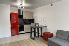 Екатеринбург, ул. Полимерный, 9 (Завокзальный) - фото квартиры