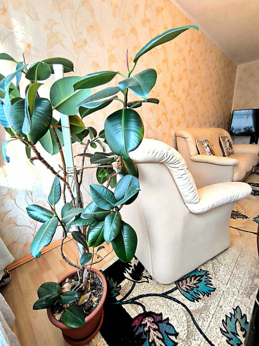 Екатеринбург, ул. Сыромолотова, 21 (ЖБИ) - фото квартиры (4)