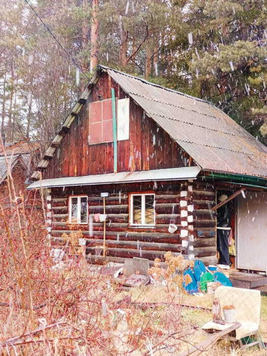 г. Первоуральск, садоводческое товарищество № 83 (городской округ Первоуральск) - фото сада (2)