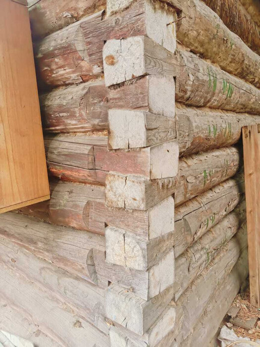 г. Первоуральск, садоводческое товарищество № 83 (городской округ Первоуральск) - фото сада (4)