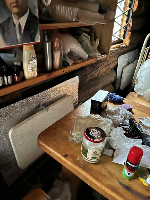 г. Первоуральск, садоводческое товарищество № 83 (городской округ Первоуральск) - фото сада (8)