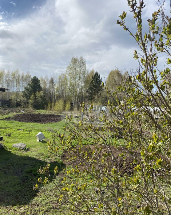 п. Аять, снт Вымпел (городской округ Невьянский) - фото сада (1)