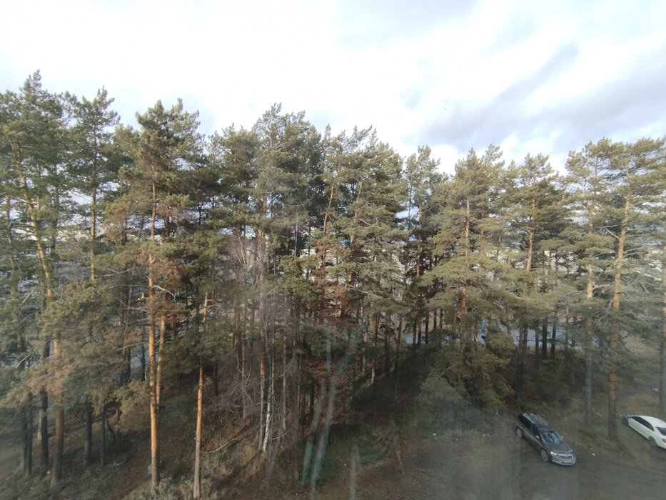 Екатеринбург, ул. Хвойная, 76/2 (Компрессорный) - фото квартиры (6)