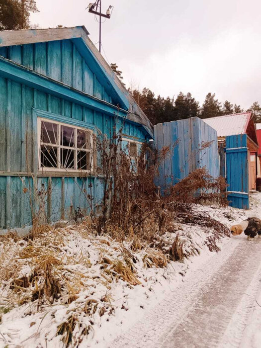 г. Первоуральск, коллективный сад № 5 (городской округ Первоуральск) - фото сада (1)