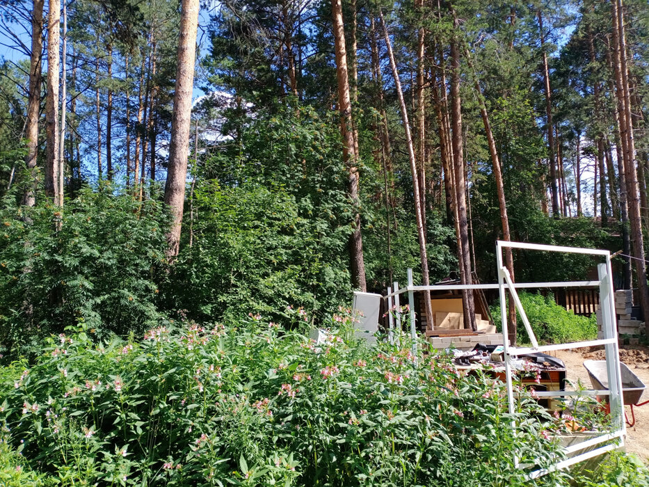 Екатеринбург, ул. Местный - фото земельного участка (1)