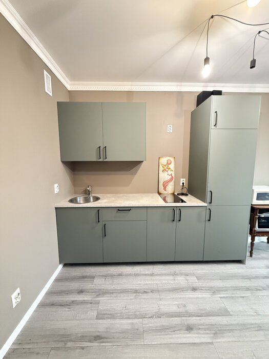 Екатеринбург, ул. Белинского, 161 (Автовокзал) - фото квартиры (5)