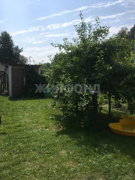 г. Нижний Тагил, коллективный сад № 4 НТМК Капасиха (городской округ Нижний Тагил) - фото сада (8)