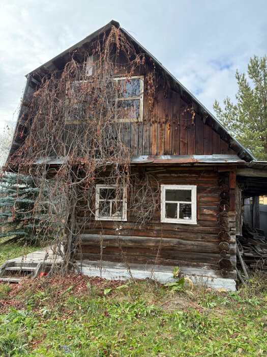г. Березовский, тер. СНТ Дачник (городской округ Березовский) - фото сада (1)