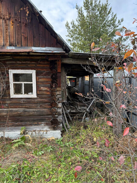г. Березовский, тер. СНТ Дачник (городской округ Березовский) - фото сада (3)