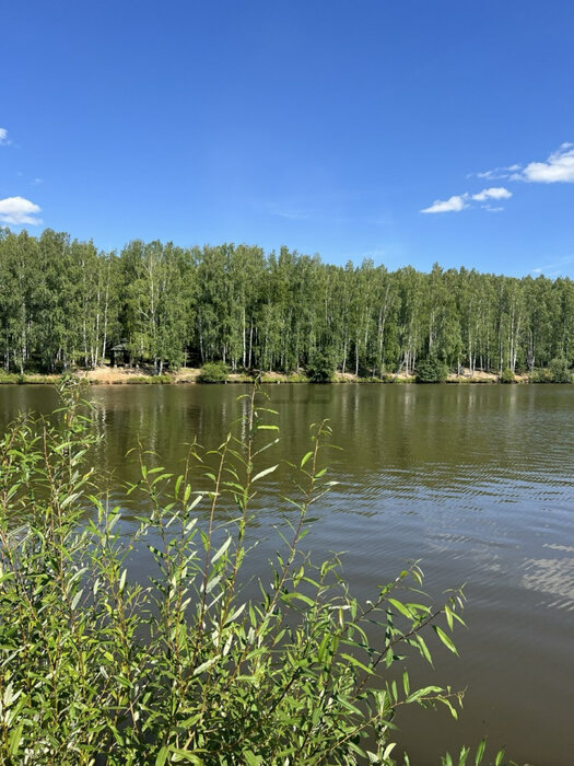 Екатеринбург, ул. Гематитовая, 215А (Шабровский) - фото земельного участка (1)