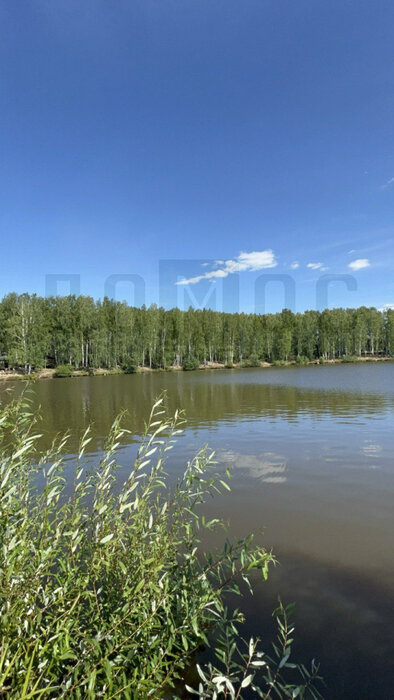 Екатеринбург, ул. Гематитовая, 215А (Шабровский) - фото земельного участка (5)