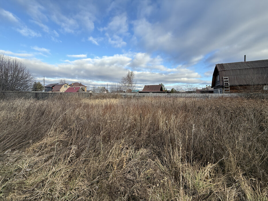 Екатеринбург, СНТ Горнощитский (Горный щит) - фото сада (2)