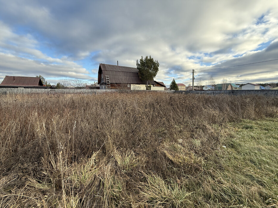 Екатеринбург, СНТ Горнощитский (Горный щит) - фото сада (3)