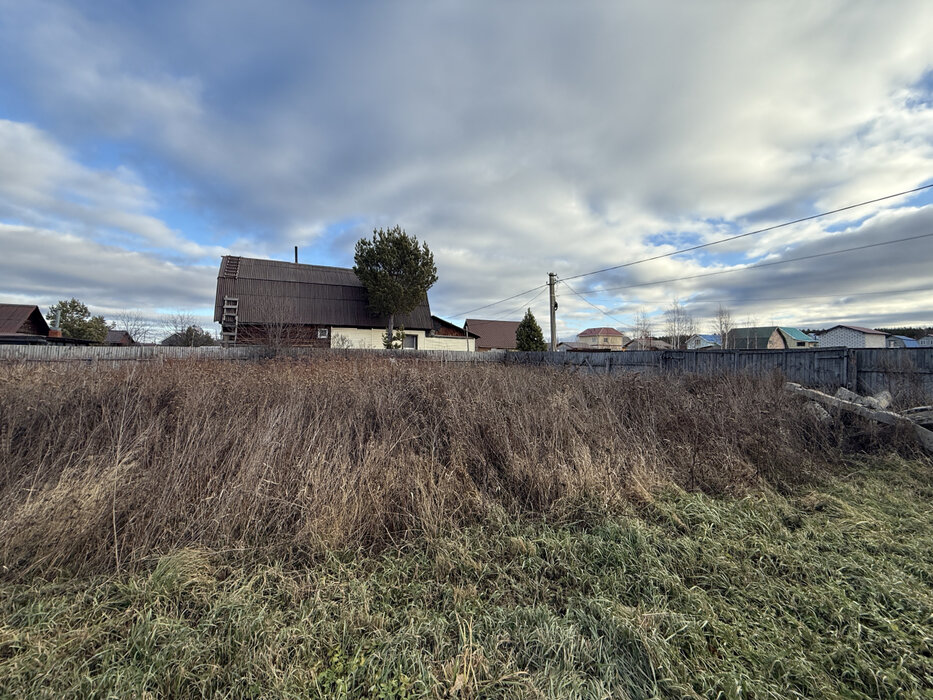 Екатеринбург, СНТ Горнощитский (Горный щит) - фото сада (4)