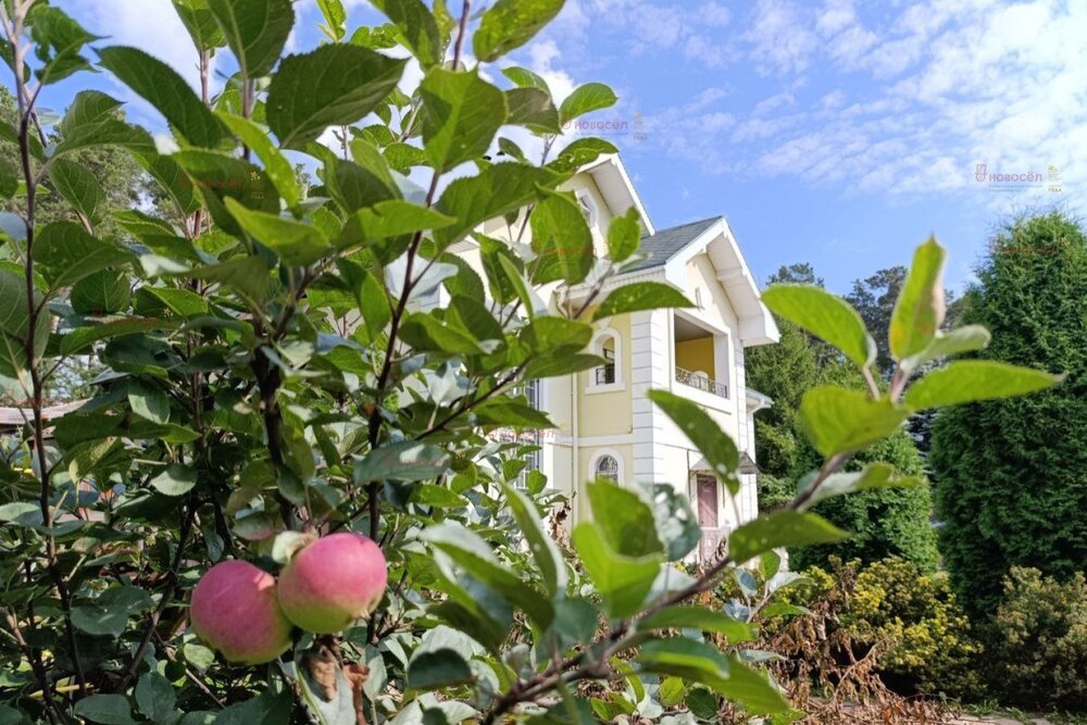 Екатеринбург, ул. Букетный, 22 (М.Исток) - фото коттеджа (5)