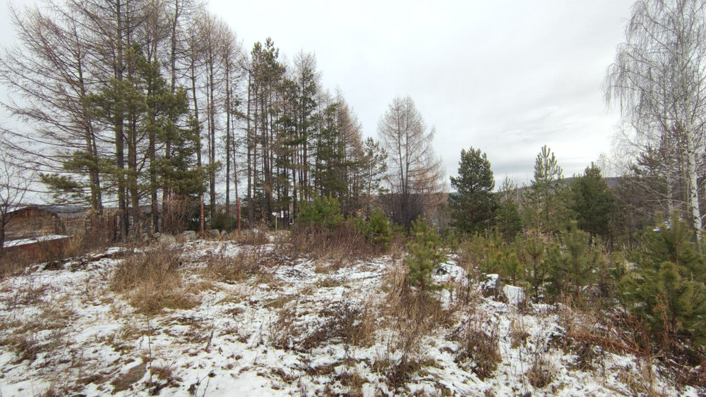 п. Сагра, СНТ. Сагра-6 (городской округ Верхняя Пышма) - фото сада (3)