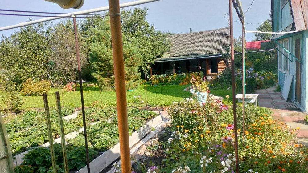 Екатеринбург, Коллективный сад №20 (Уралмаш) - фото сада (3)