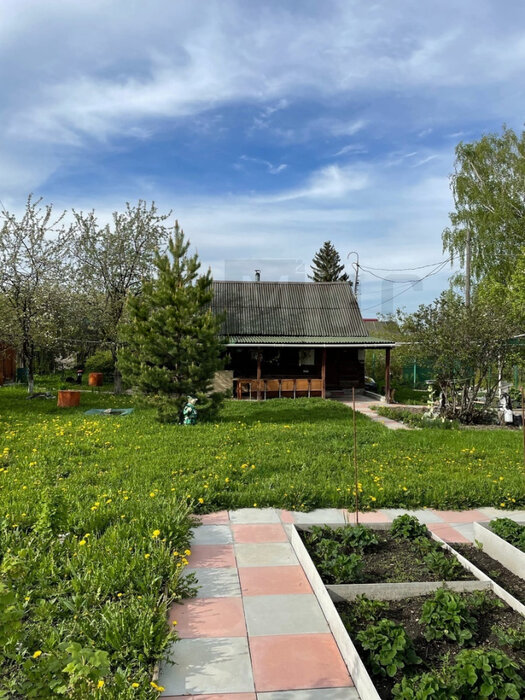 Екатеринбург, Коллективный сад №20 (Уралмаш) - фото сада (4)