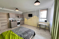Екатеринбург, ул. Блюхера, 42 (Втузгородок) - фото квартиры