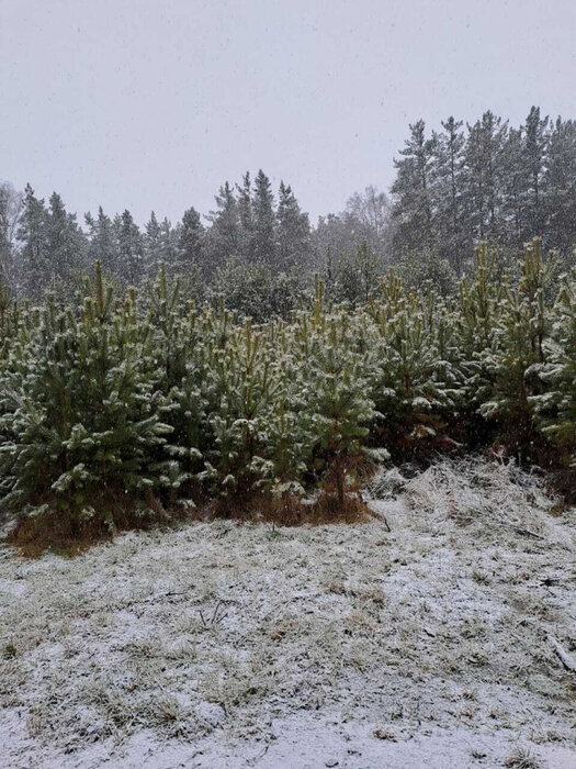 Екатеринбург, ул. Кордон Шиловский,   (Горный щит) - фото коттеджа (5)