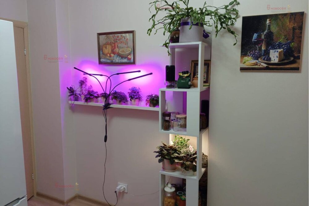 Екатеринбург, ул. Лучистая, 2 (Солнечный) - фото квартиры (8)