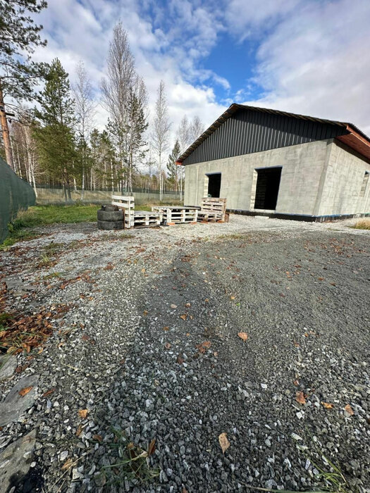 г. Верхняя Пышма, район Снт Звездочка (городской округ Верхняя Пышма) - фото сада (4)