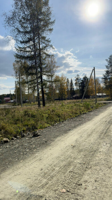 г. Верхняя Пышма, район Снт Звездочка (городской округ Верхняя Пышма) - фото сада (7)